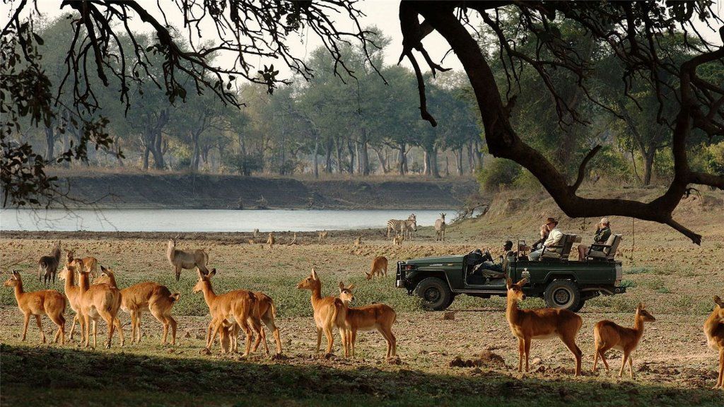 6 Days Perfect Budget Zambia Wildlife Safari Holidays Vacation
